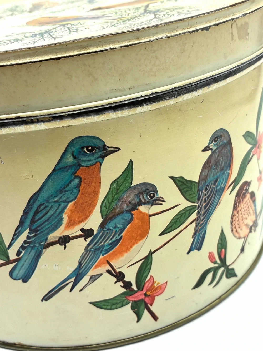 Vintage Tom Sturgis Bird Tin Round Metal Storage Box Cottagecore